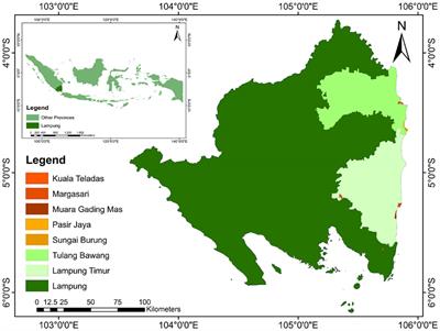 Assessing the sustainability of the blue swimming crab (Portunus pelagicus) on the Eastern Coast of Lampung: a holistic approach to conservation and resource stewardship